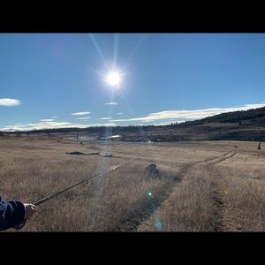 Meet your Posher, Cloudia